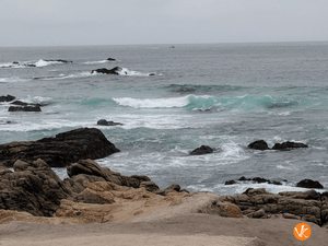 THE SOFT SEA