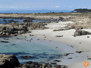 CARMEL