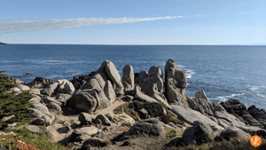 CARMEL ROCKS