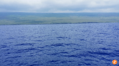 COBALT SEA